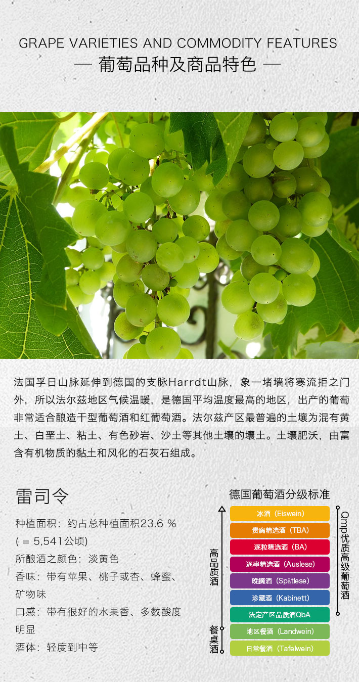 德国酒门 雷司令干白葡萄酒 Mini包装 250ml