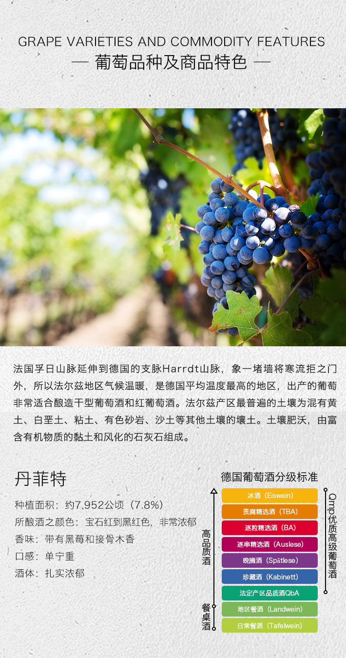德国酒门 50周年庆典 丹菲特干红葡萄酒 750ml